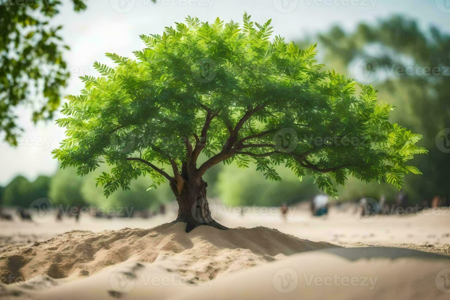 a tree growing in the sand on a beach. AI-Generated photo