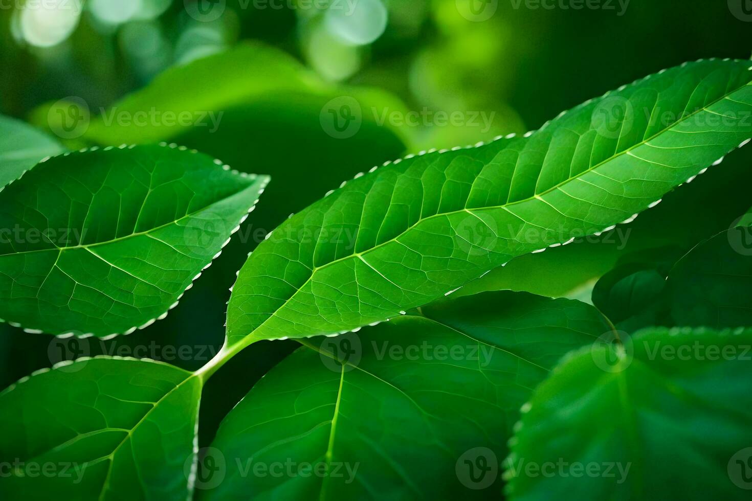 a close up of green leaves on a tree. AI-Generated photo