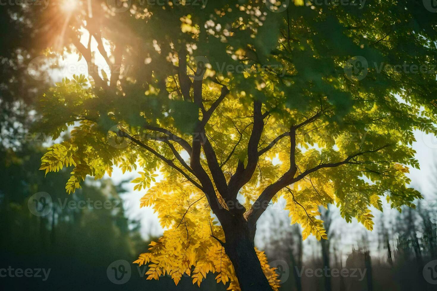 a tree with yellow leaves in the sun. AI-Generated photo