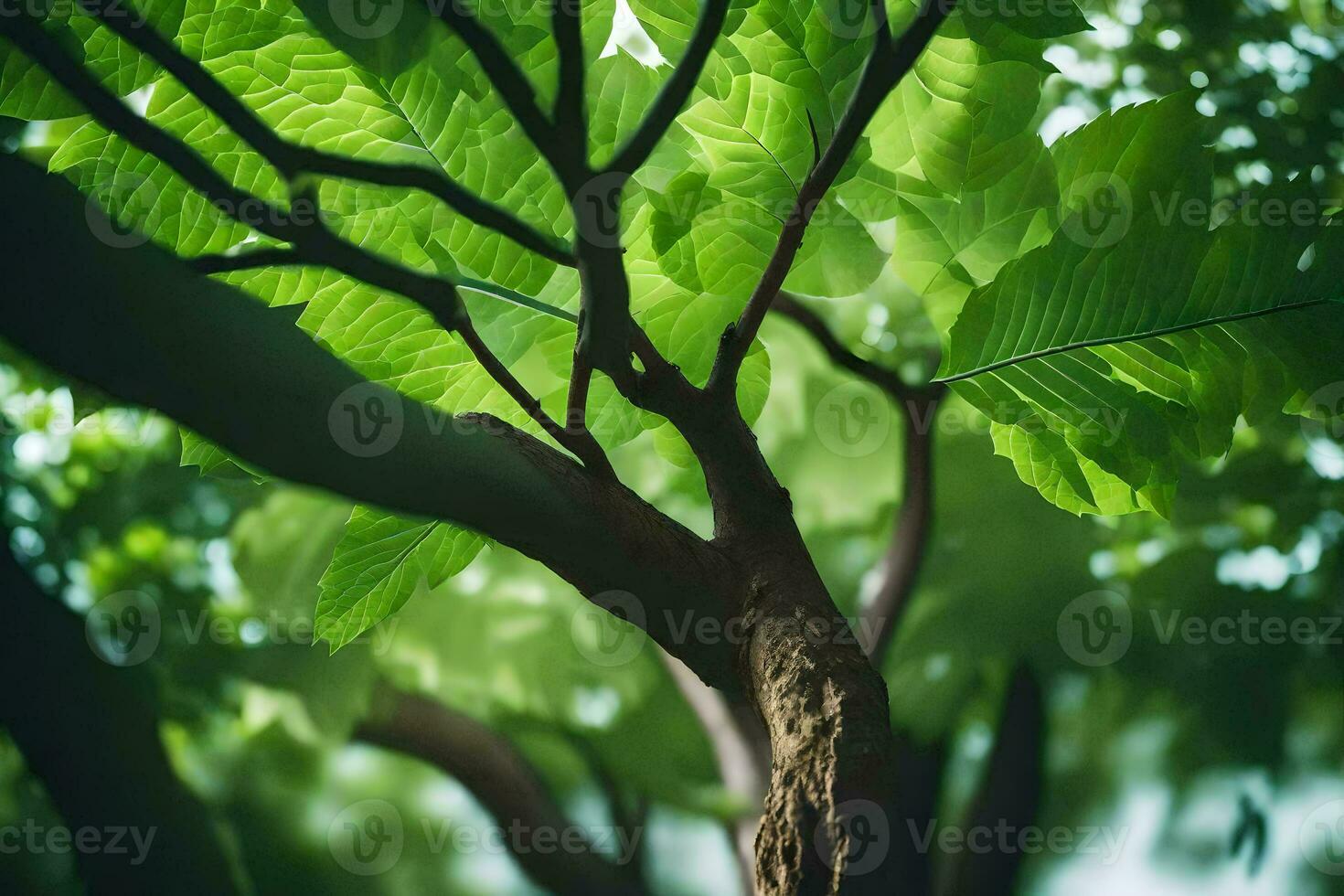 a tree with green leaves and sunlight. AI-Generated photo