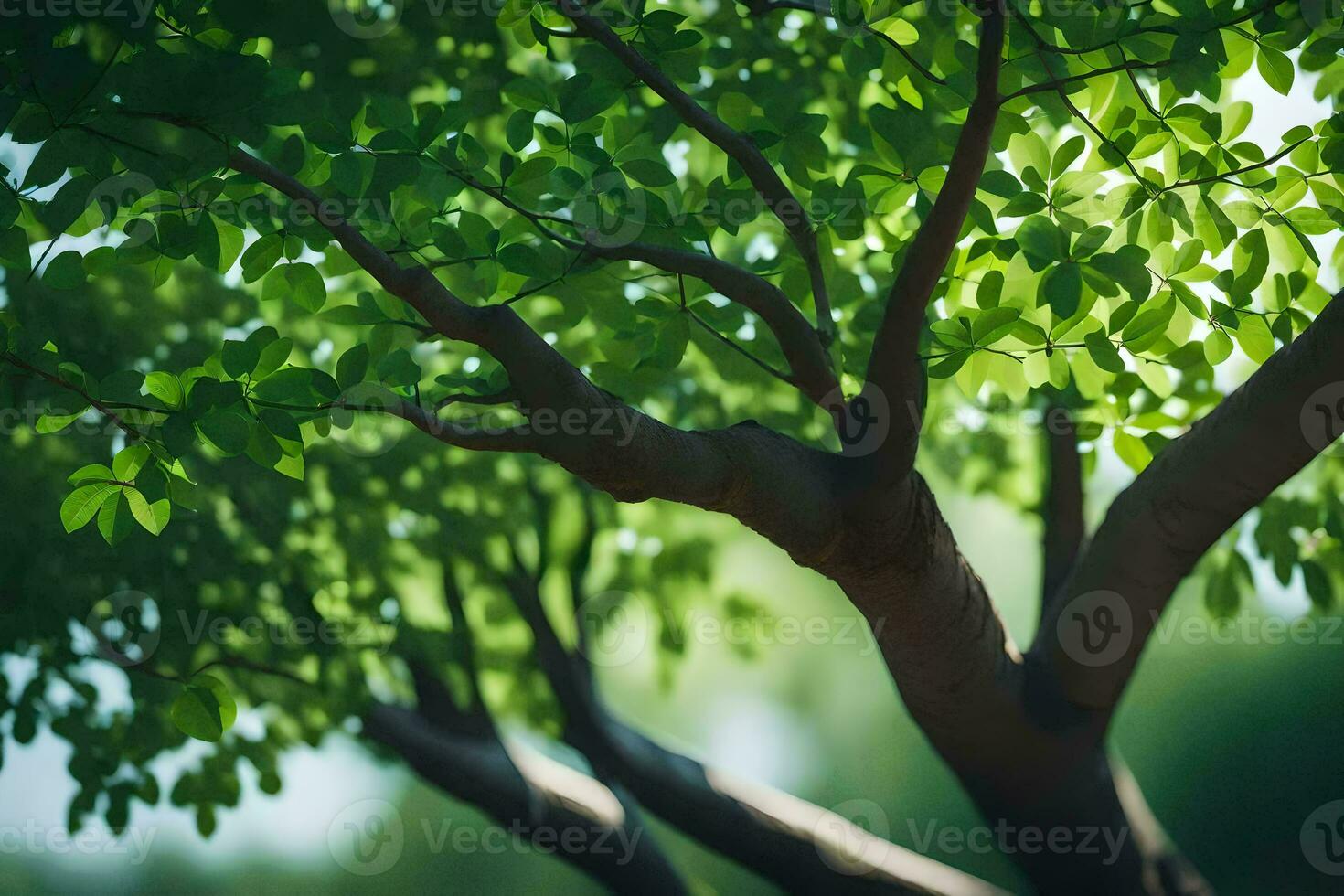 a tree with green leaves and sunlight. AI-Generated photo