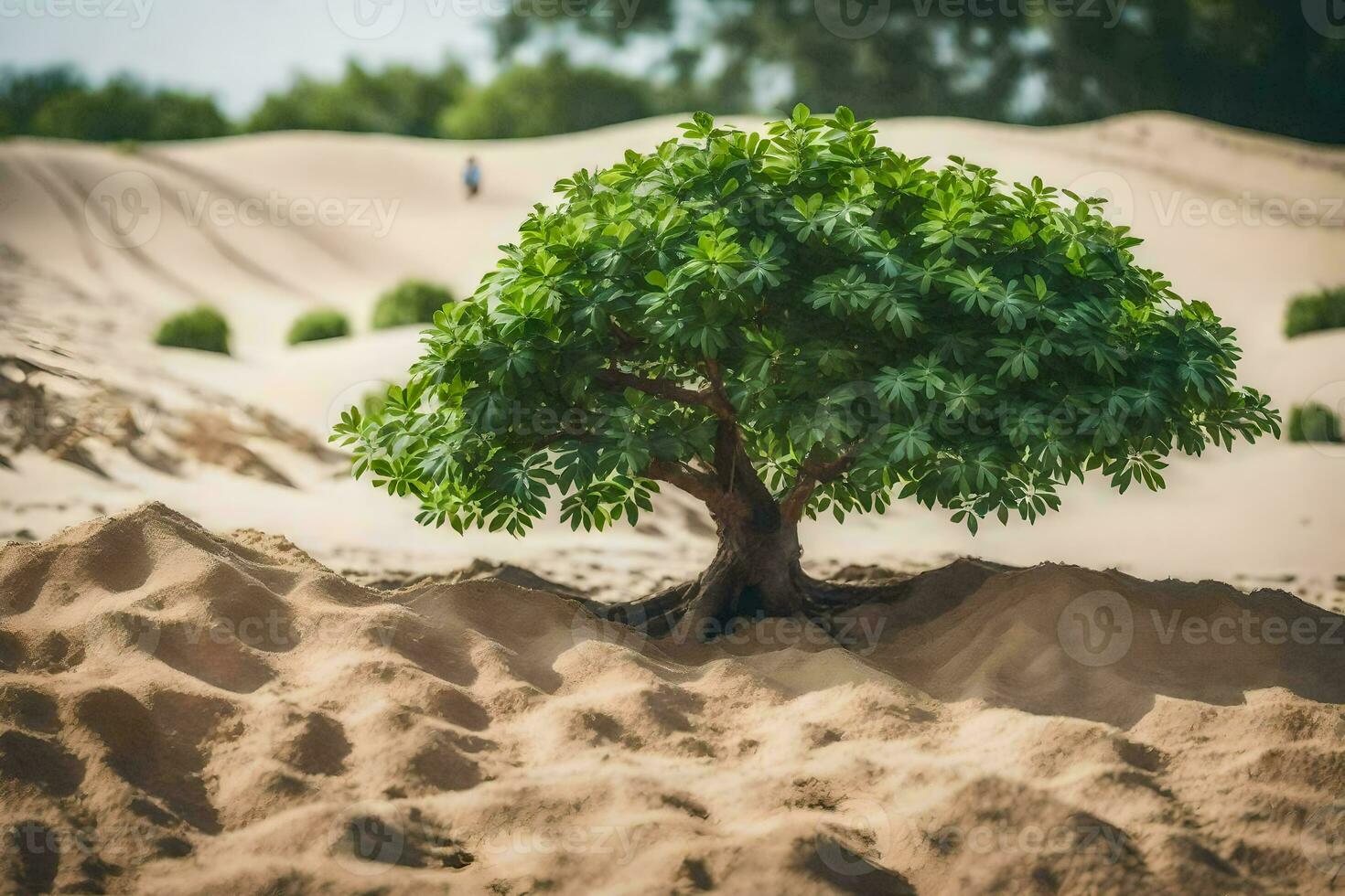 a tree growing in the sand dunes. AI-Generated photo
