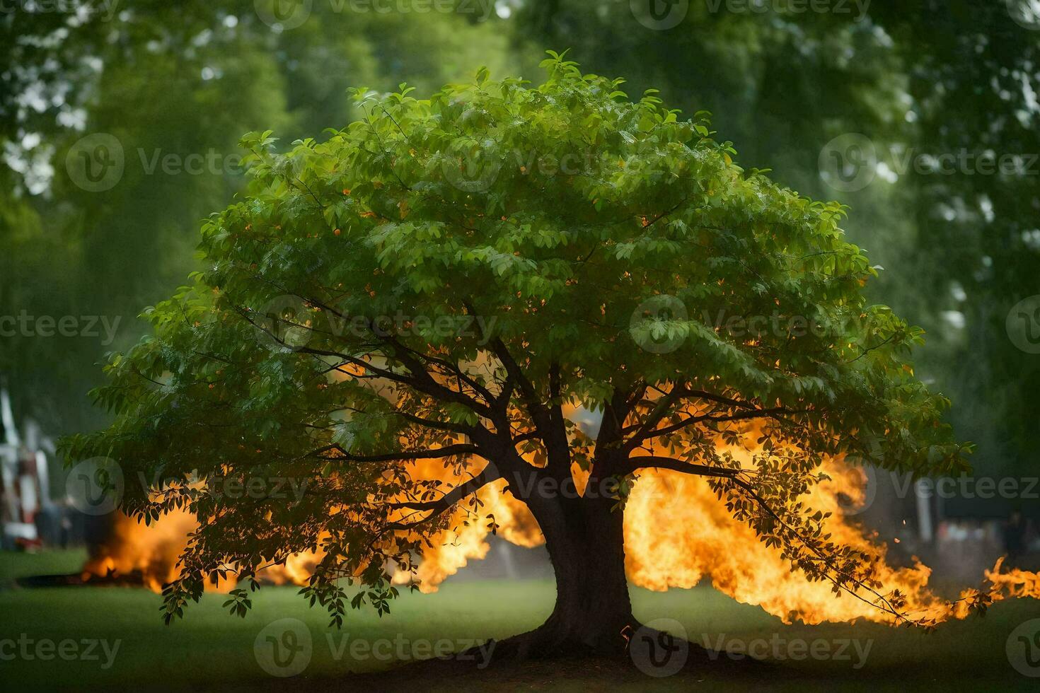 a tree with flames coming out of it. AI-Generated photo