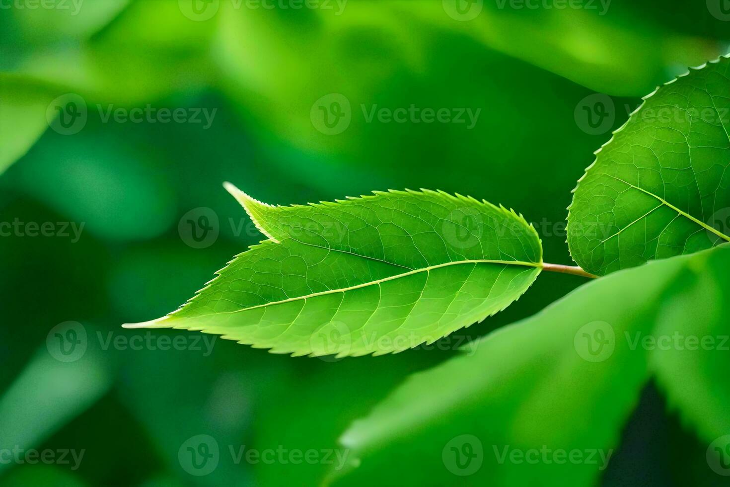 un cerca arriba de un hoja en un árbol. generado por ai foto