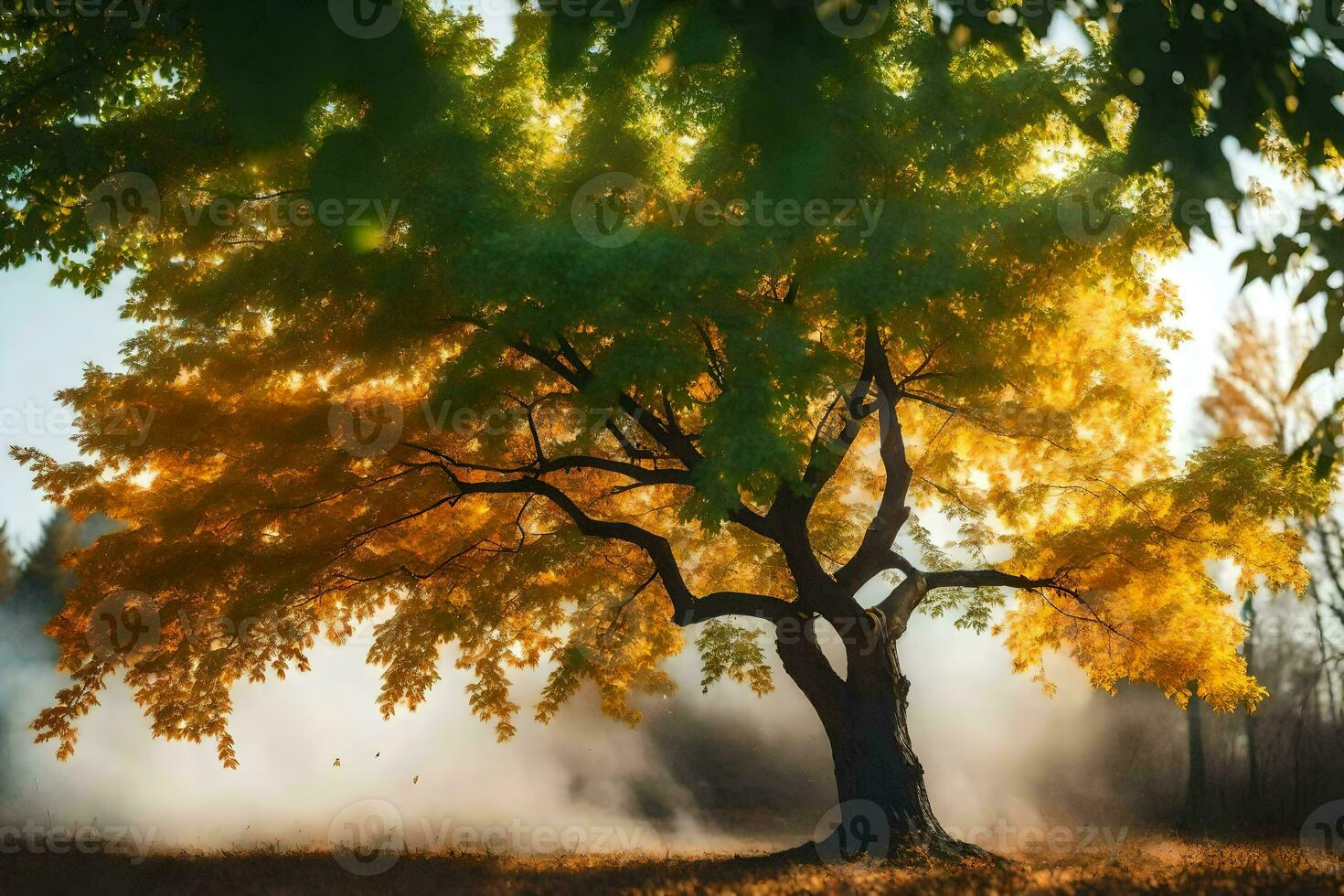 a tree in the middle of a field with fog. AI-Generated photo