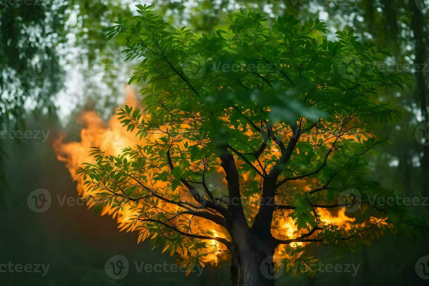 a tree with flames coming out of it in the forest. AI-Generated photo