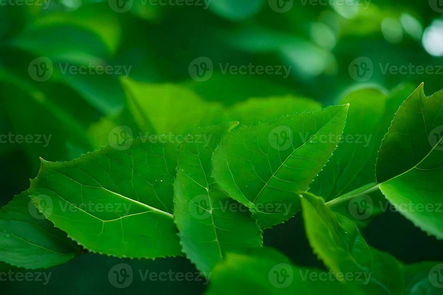 a close up of green leaves on a tree. AI-Generated photo