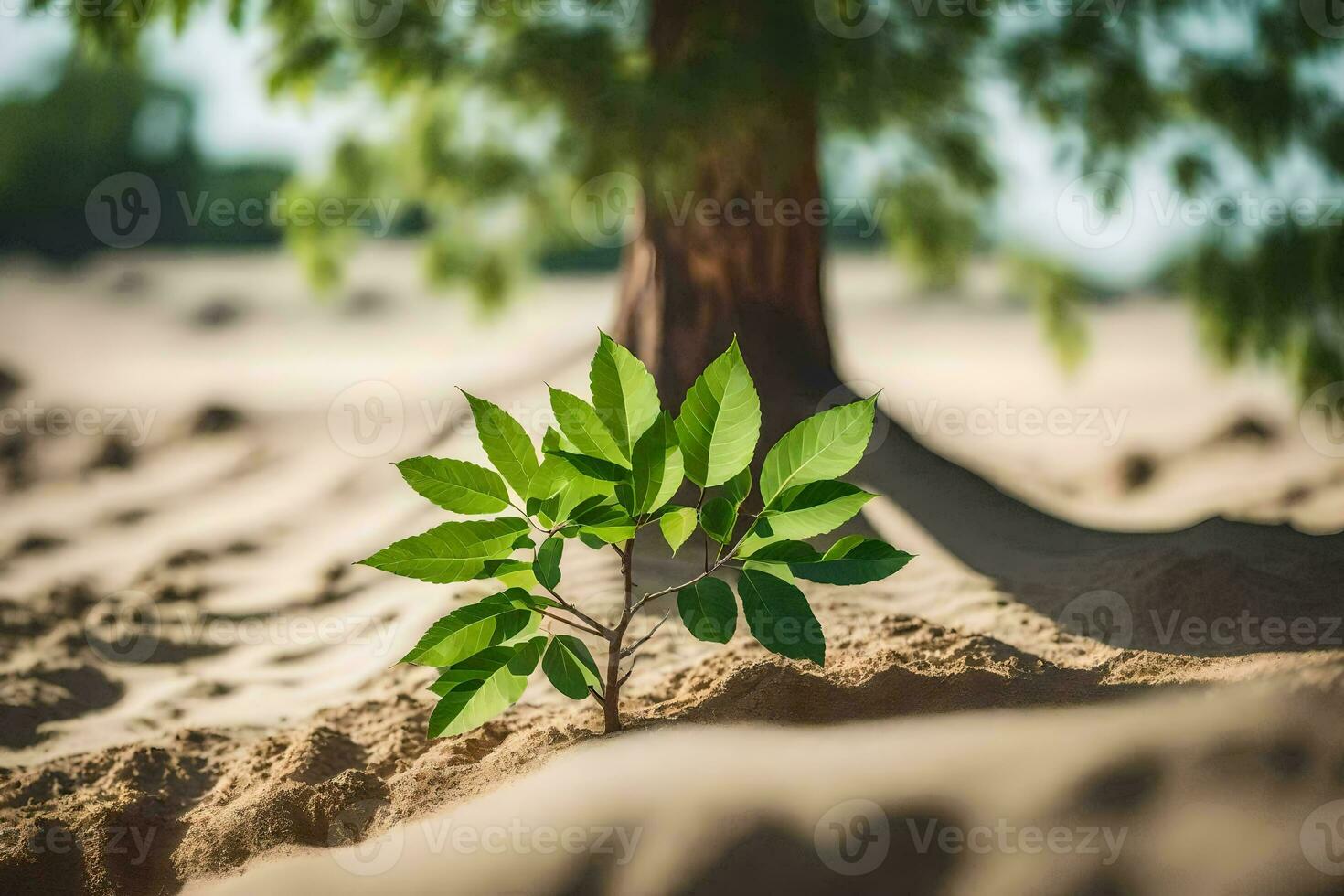 a small tree is growing out of the sand. AI-Generated photo