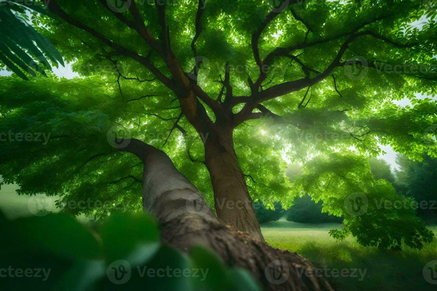 photo wallpaper the sky, trees, grass, grassland, trees, green, sunlight, trees. AI-Generated