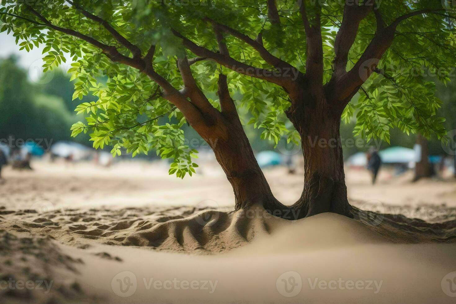 a tree is growing out of the sand in the middle of a beach. AI-Generated photo