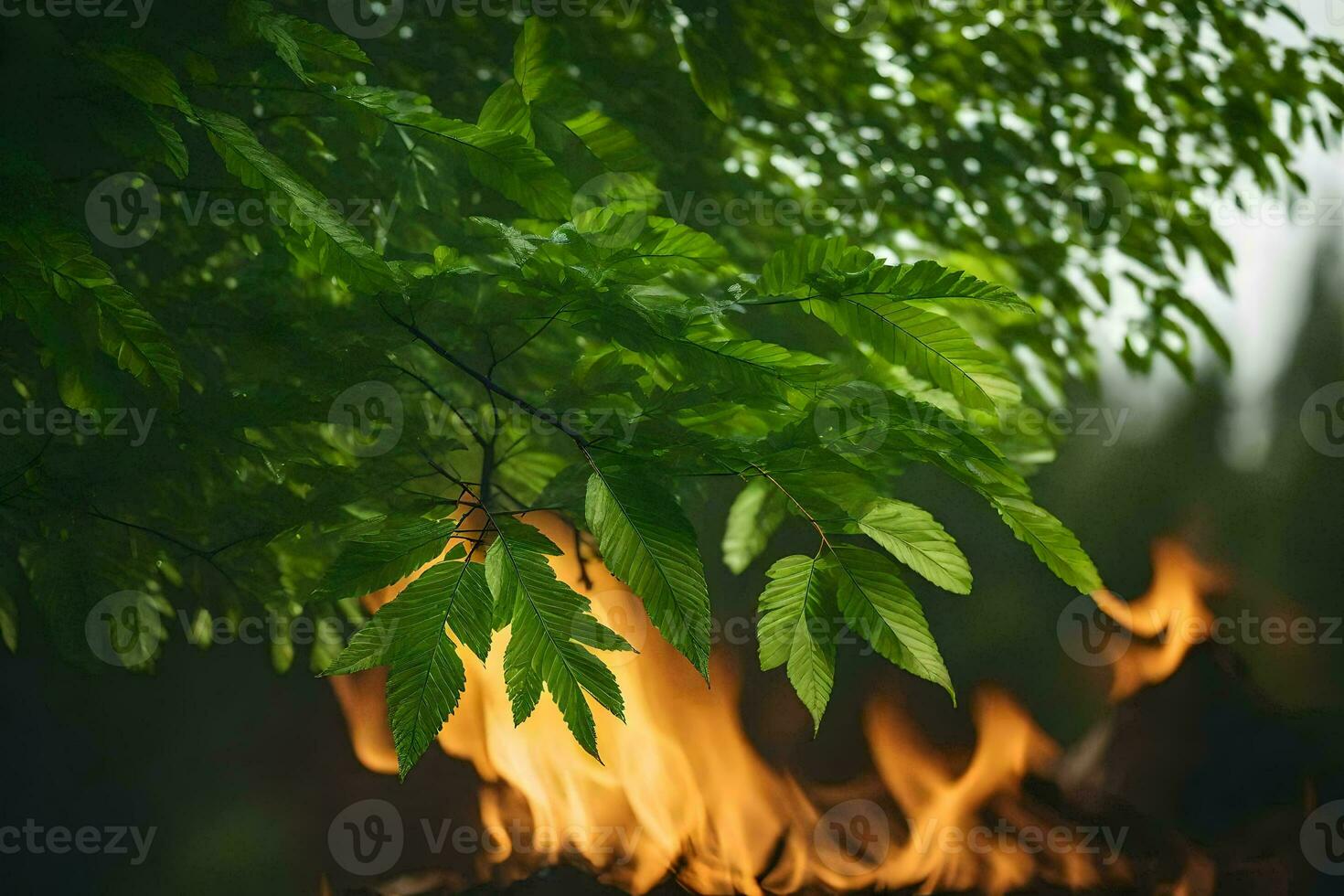 a fire is burning in the woods with green leaves. AI-Generated photo