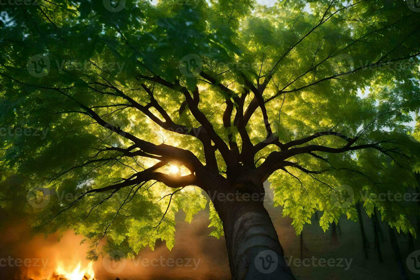 a tree is seen in the sun with smoke coming from it. AI-Generated photo