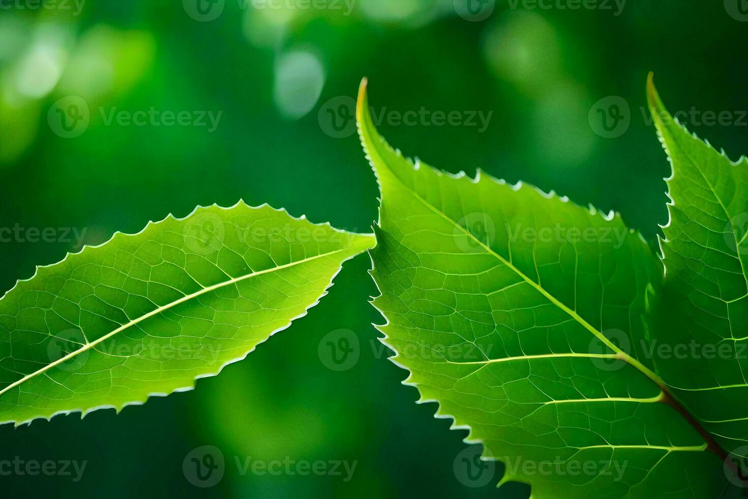 two green leaves are shown in front of a green background. AI-Generated photo