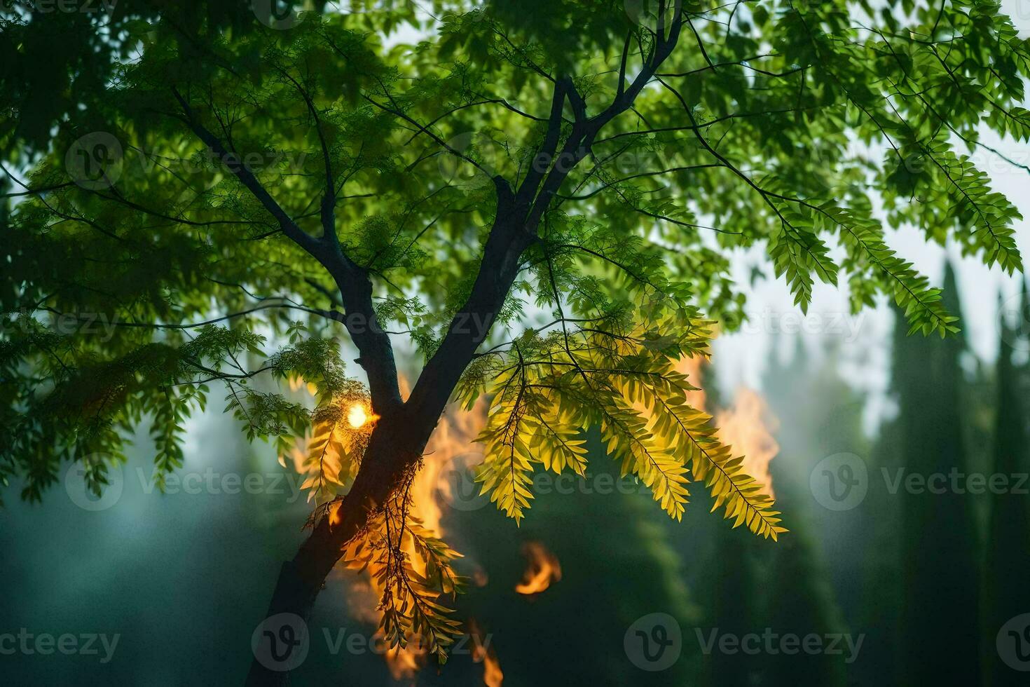 a tree with flames coming from it. AI-Generated photo