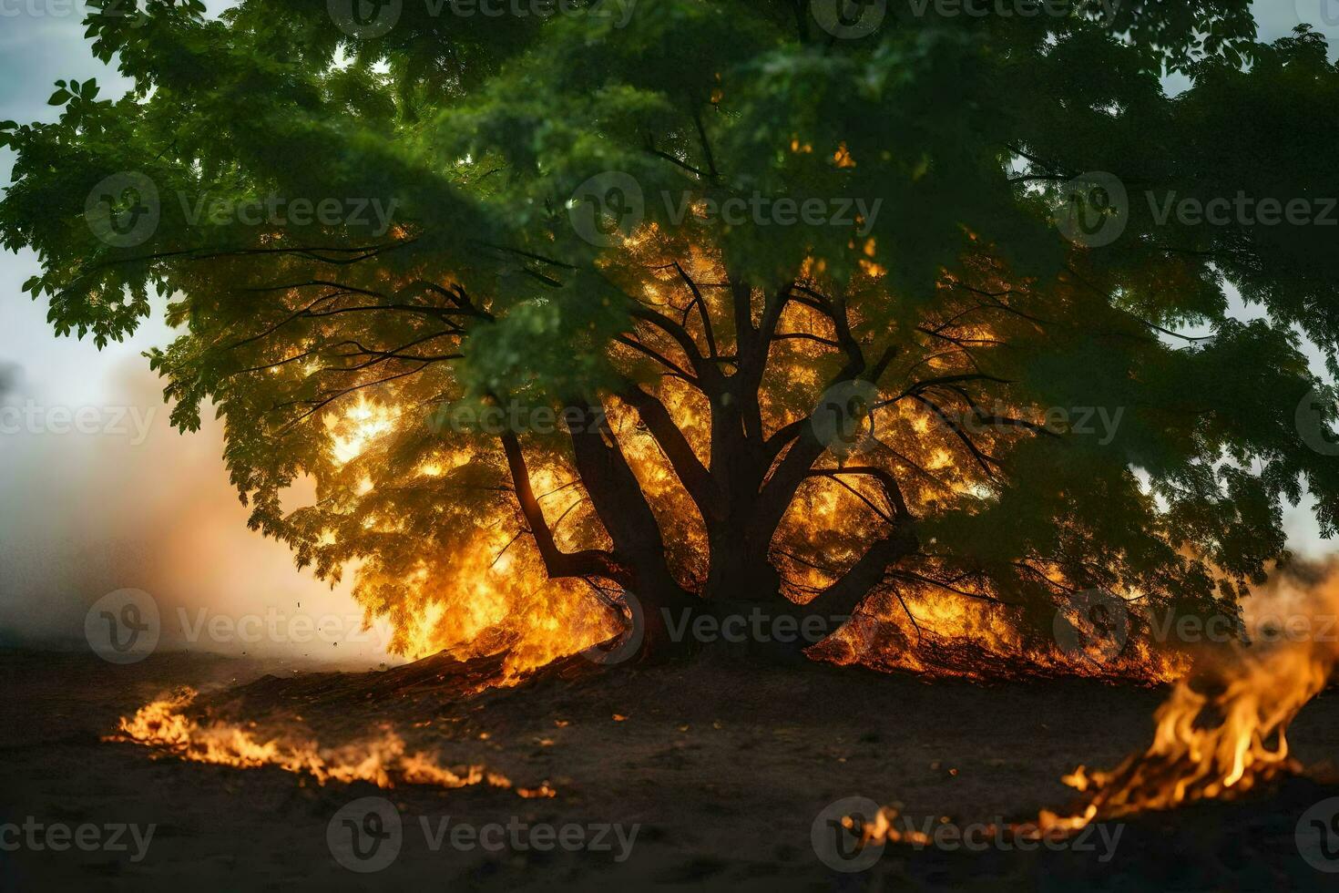 a tree is burning in the middle of a field. AI-Generated photo