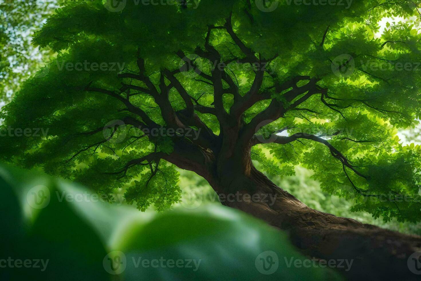 a tree is shown in the sunlight. AI-Generated photo