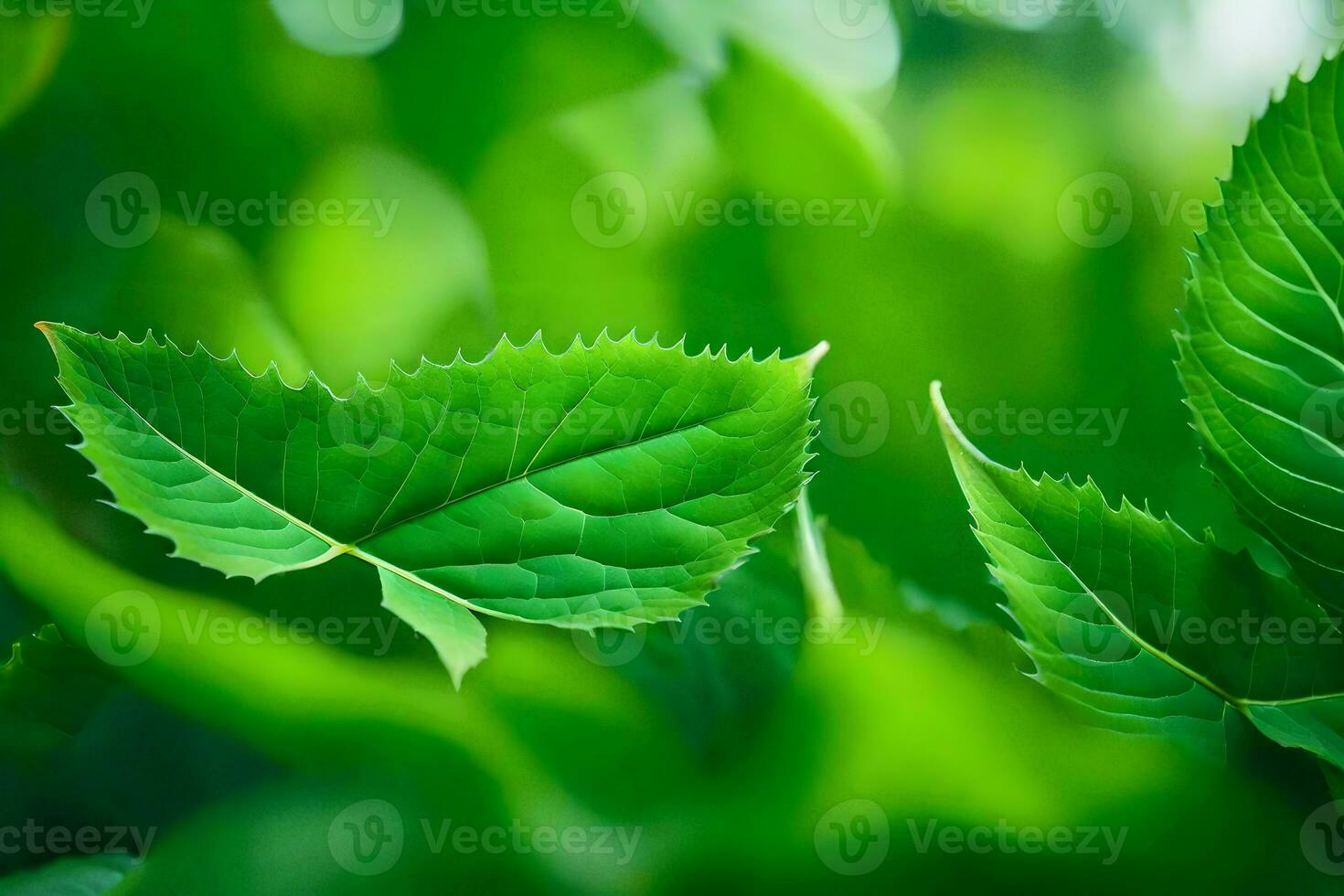 a close up of green leaves on a plant. AI-Generated photo