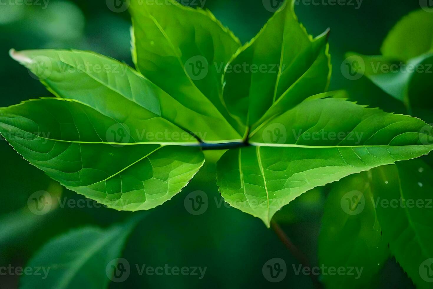 a close up of a green leaf on a tree. AI-Generated photo