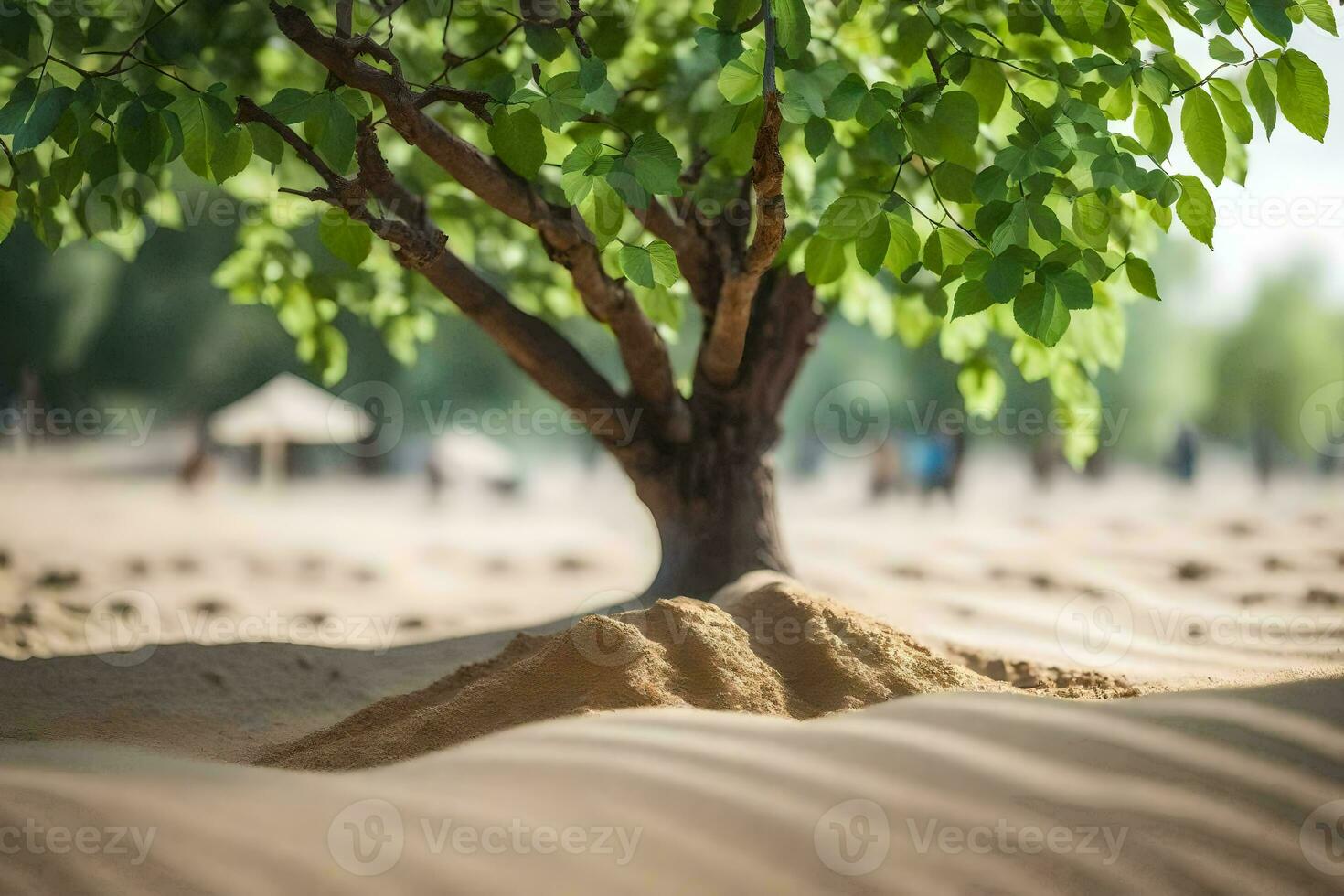 a tree growing out of the sand in the desert. AI-Generated photo