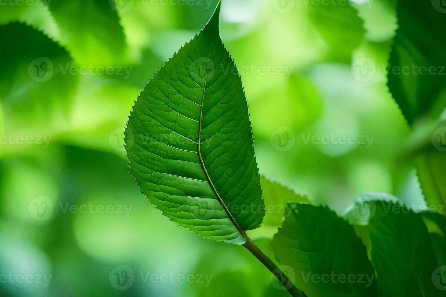 a close up of a leaf in the sunlight. AI-Generated photo