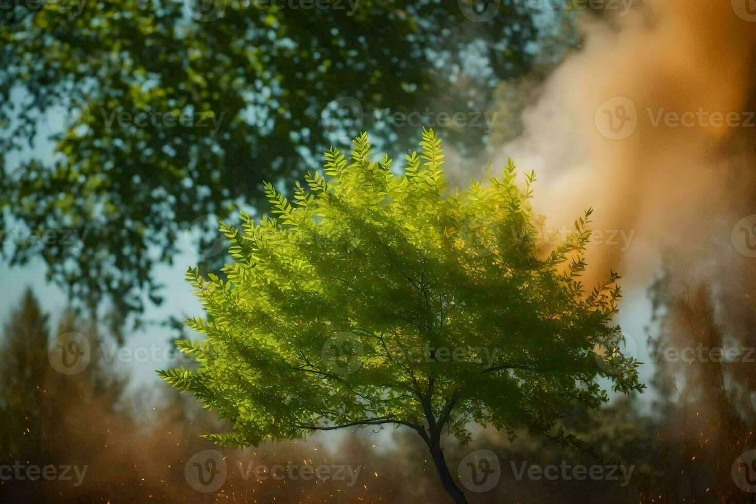 un árbol es soplo fumar fuera de el suelo. generado por ai foto