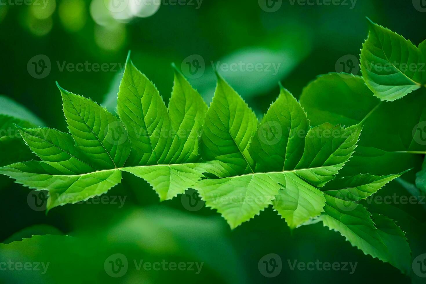 a close up of green leaves on a tree. AI-Generated photo