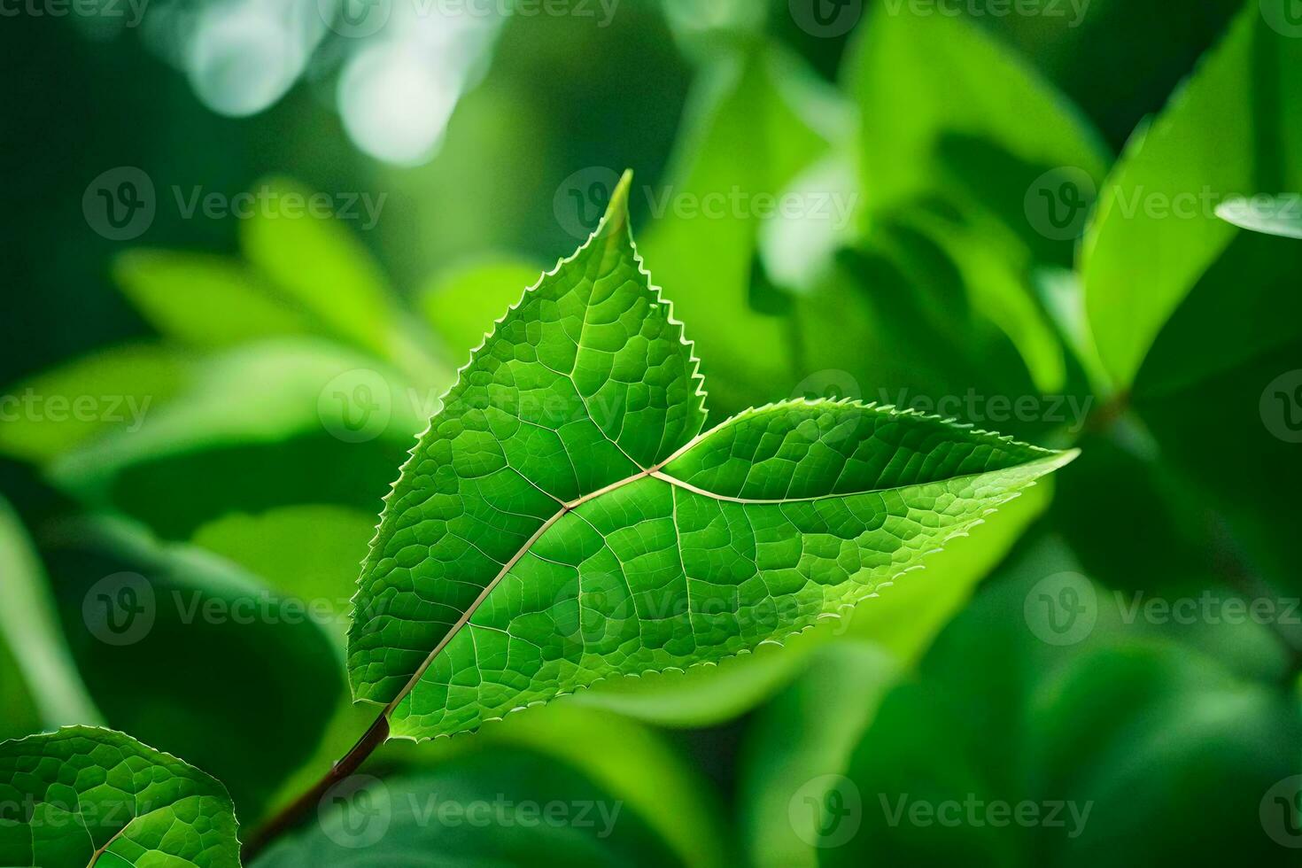 a close up of a leaf with green leaves. AI-Generated photo