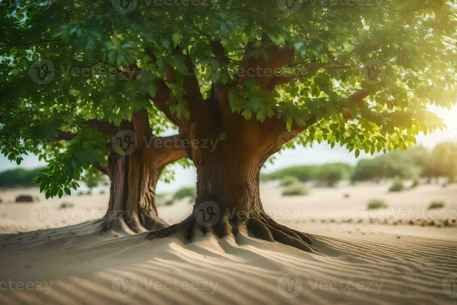 two trees in the desert with sand in the background. AI-Generated photo