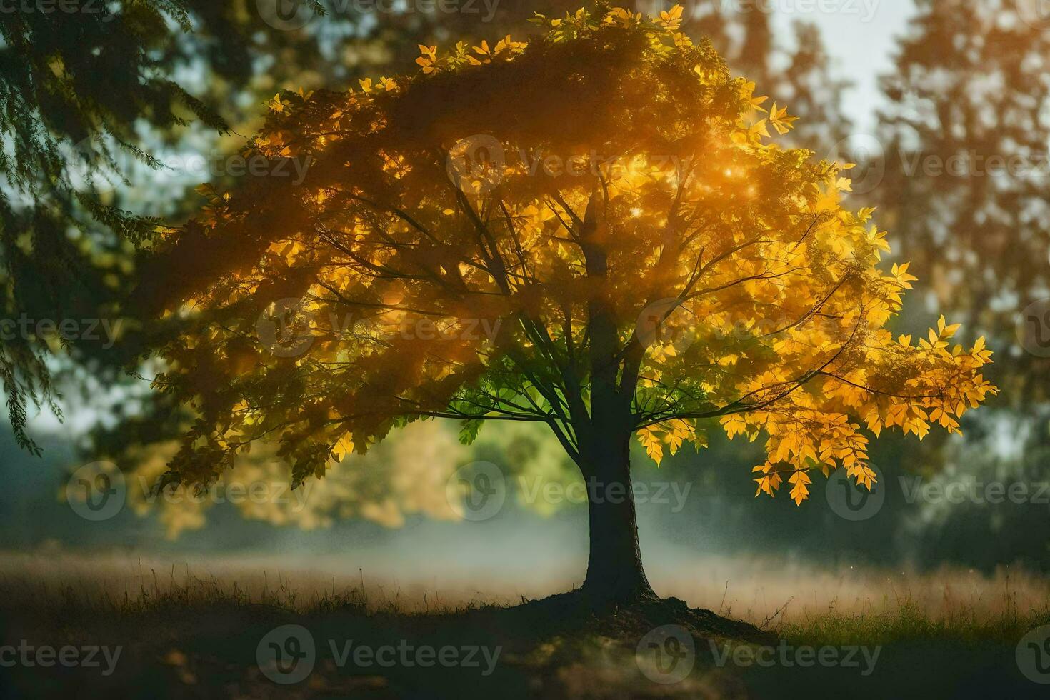 un soltero árbol en el medio de un campo con el Dom brillante mediante el hojas. generado por ai foto