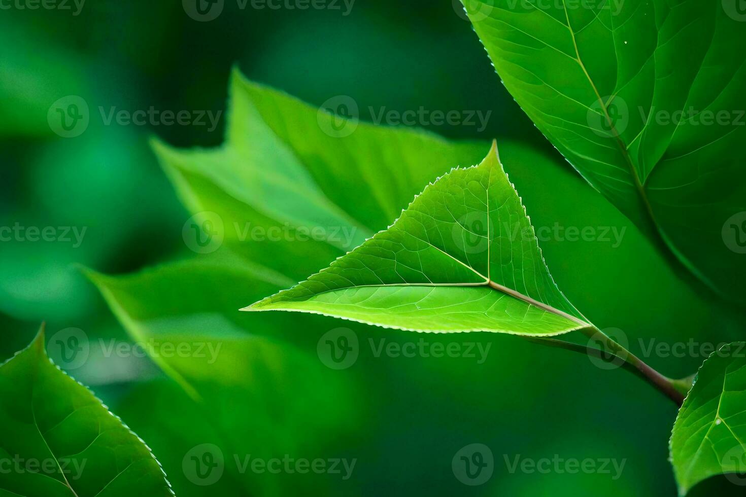 a close up of green leaves on a tree. AI-Generated photo