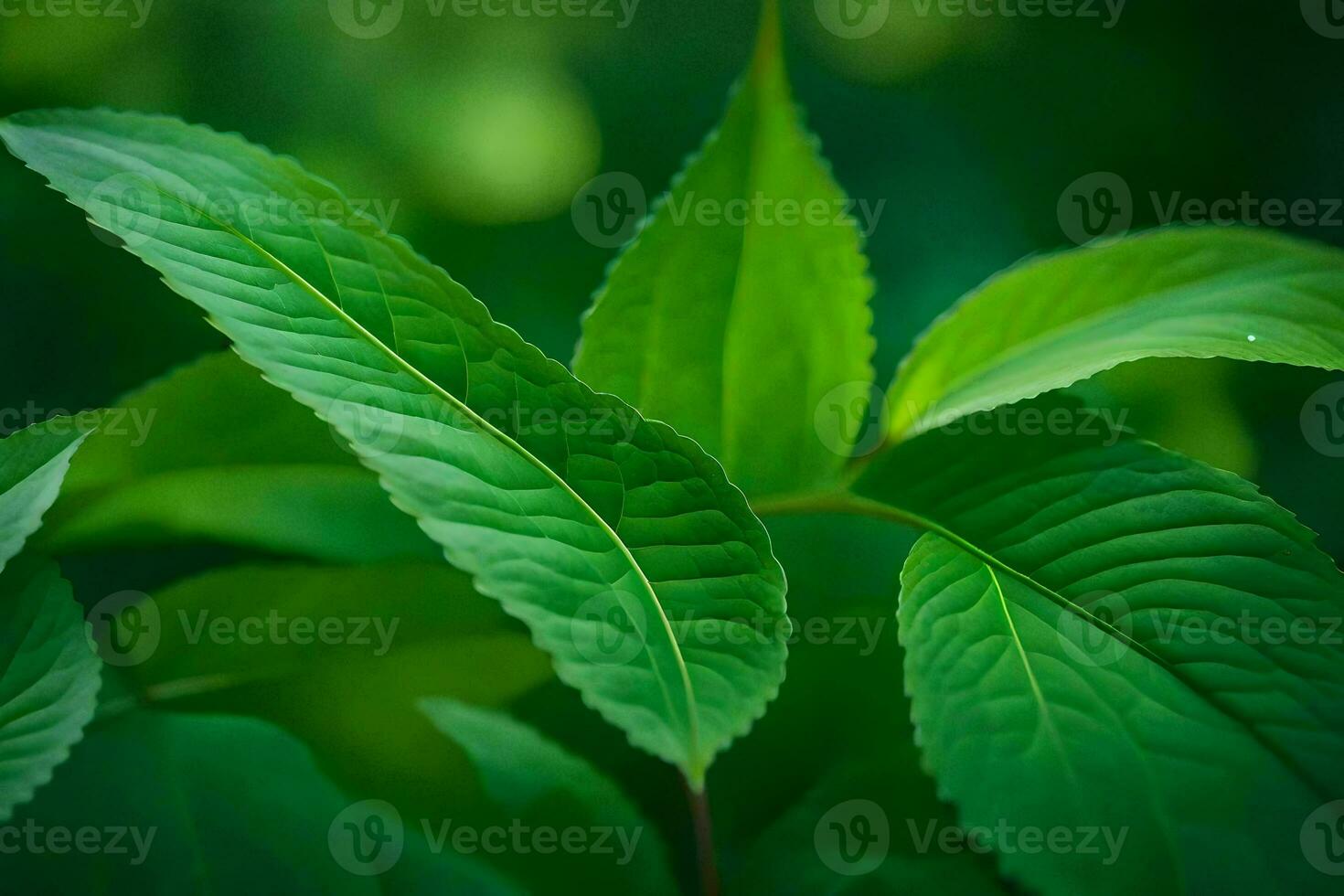 un cerca arriba de verde hojas en un planta. generado por ai foto