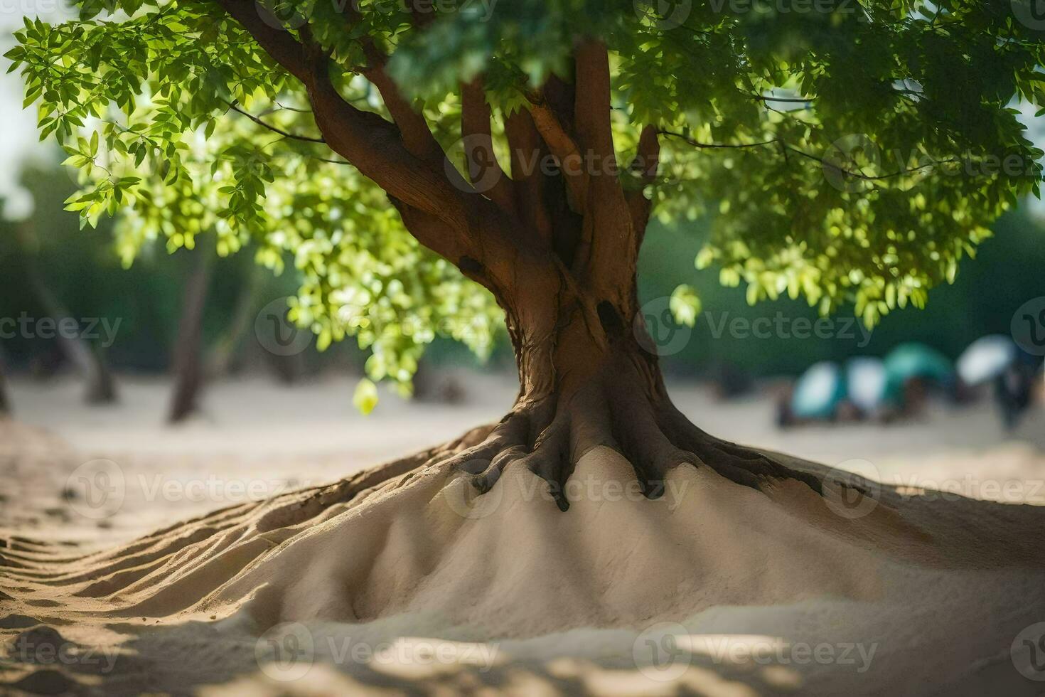 a tree with roots growing out of the sand. AI-Generated photo