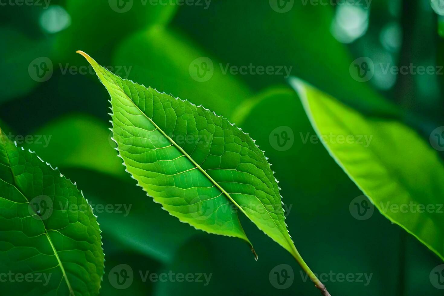 a close up of green leaves on a tree. AI-Generated photo