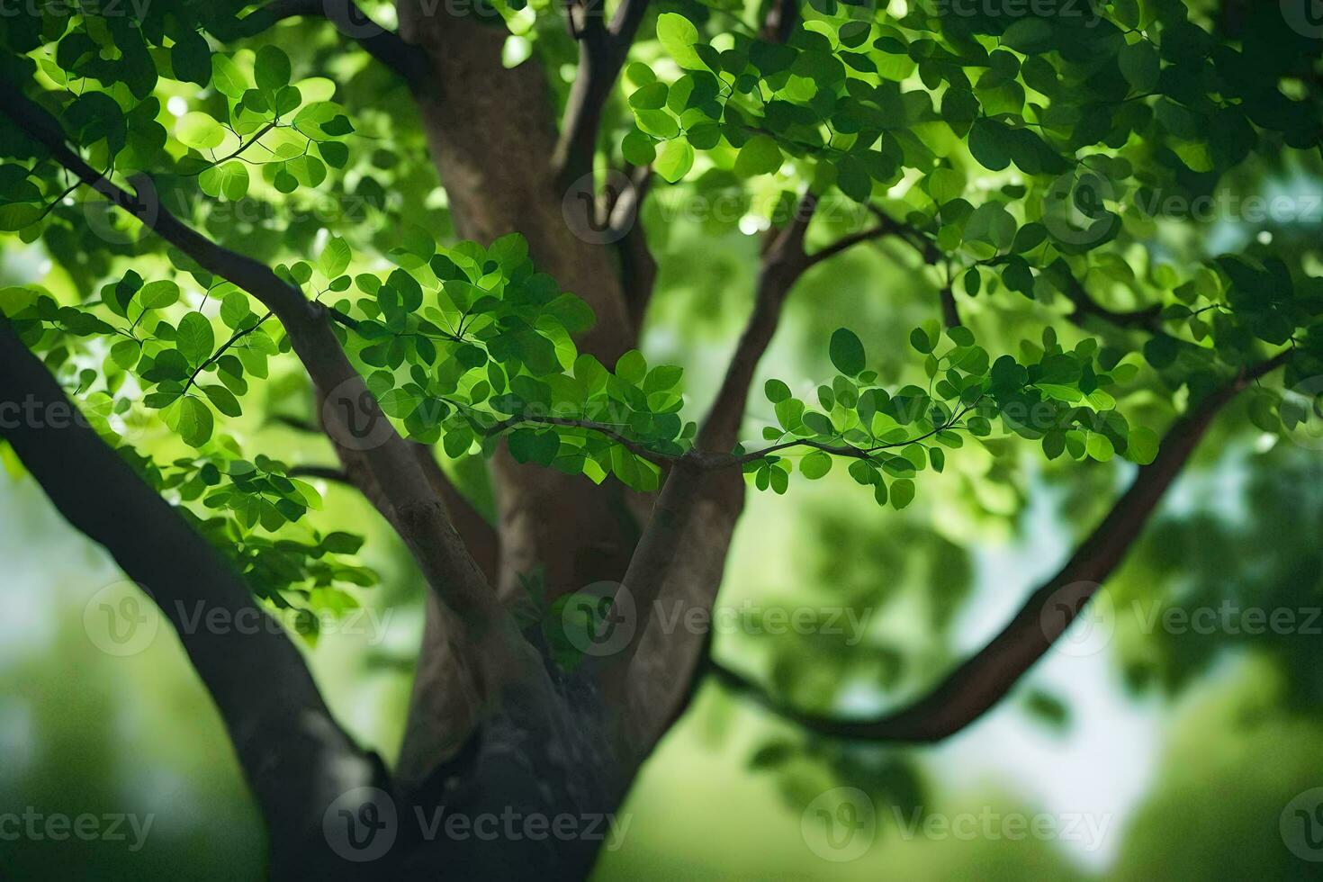 a tree with green leaves and sunlight. AI-Generated photo