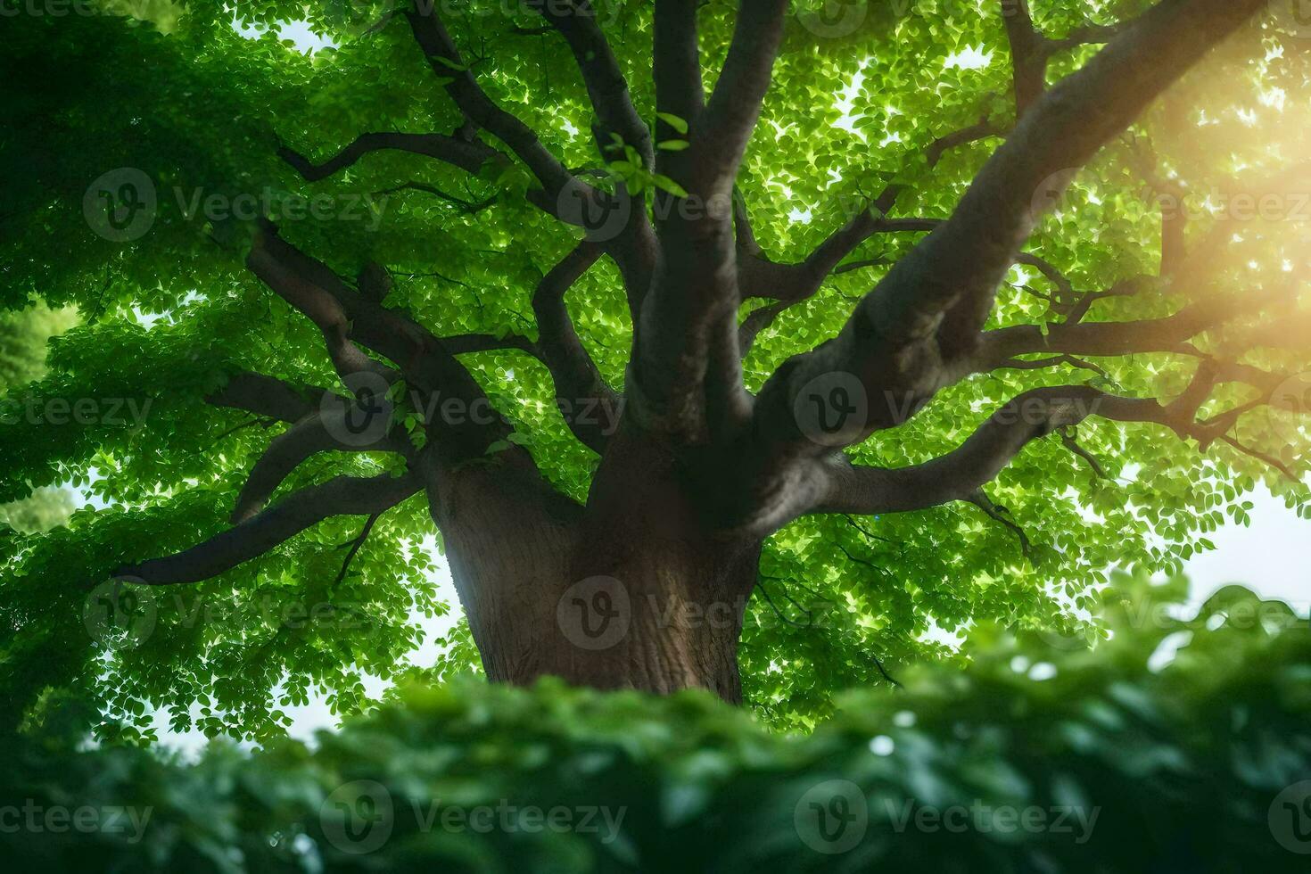 a tree is shown in the sunlight with green leaves. AI-Generated photo