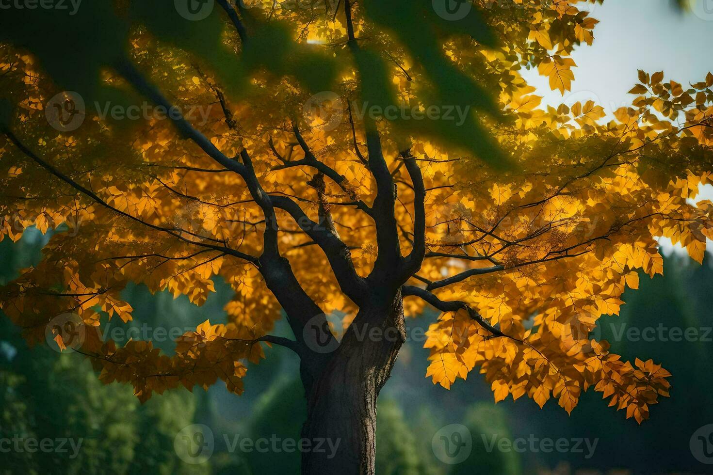 a tree with yellow leaves in the background. AI-Generated photo