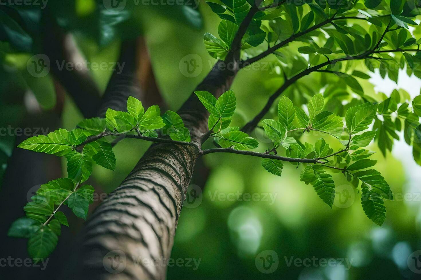 a tree with green leaves and sunlight. AI-Generated photo