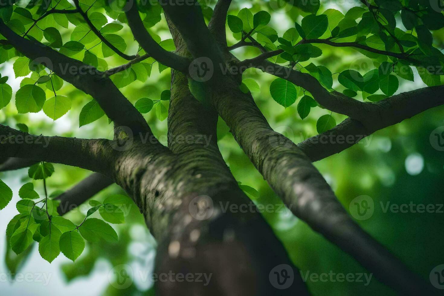 a tree with green leaves and branches. AI-Generated photo