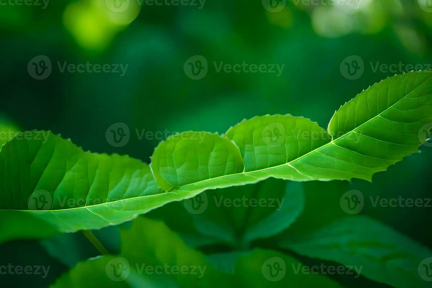 a close up of a leaf with green leaves. AI-Generated photo