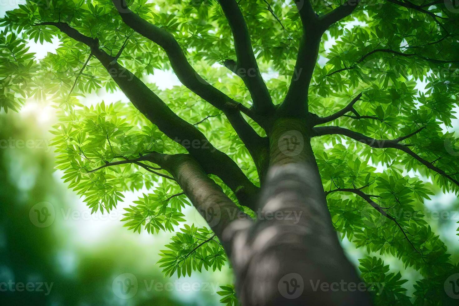 a tree is seen from above with sunlight shining through it. AI-Generated photo