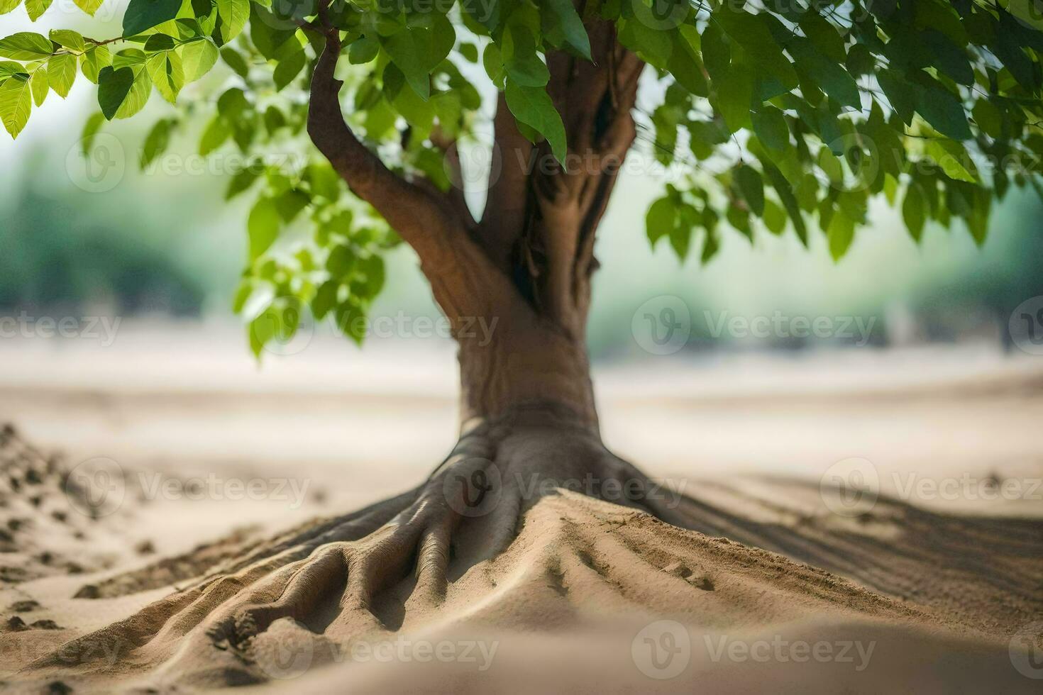 a tree with roots in the sand. AI-Generated photo