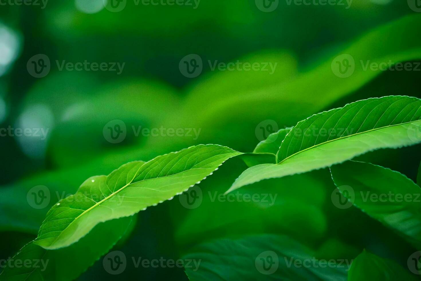 a close up of green leaves on a plant. AI-Generated photo