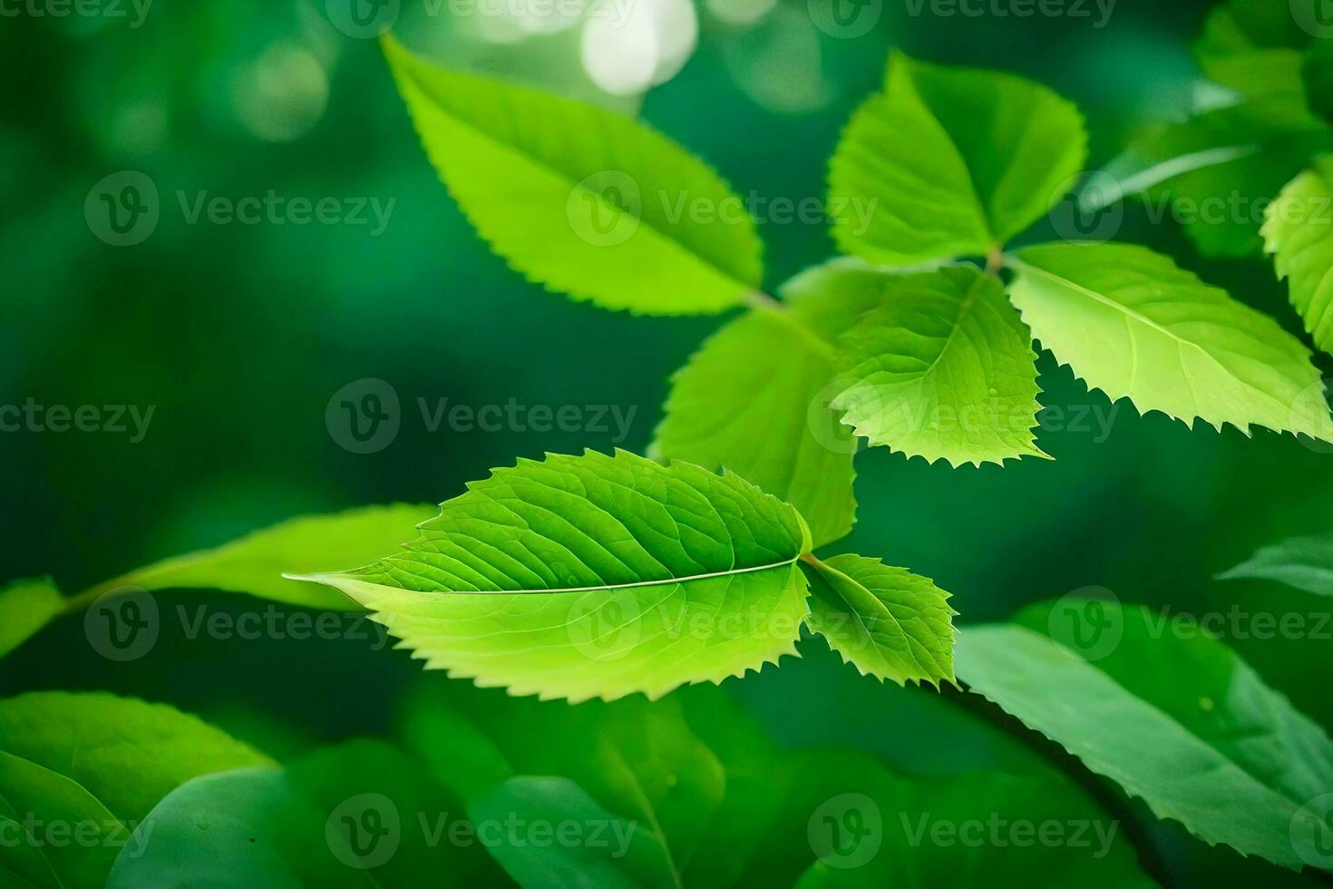 green leaves on a tree in the forest. AI-Generated photo