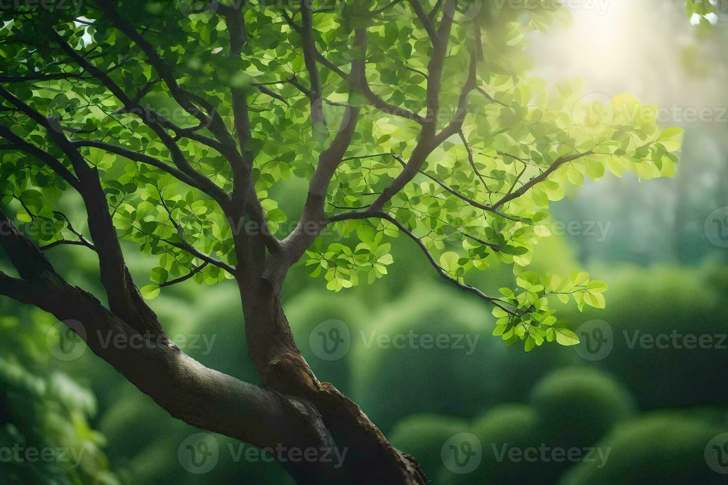 a tree with green leaves and sunlight shining through. AI-Generated photo