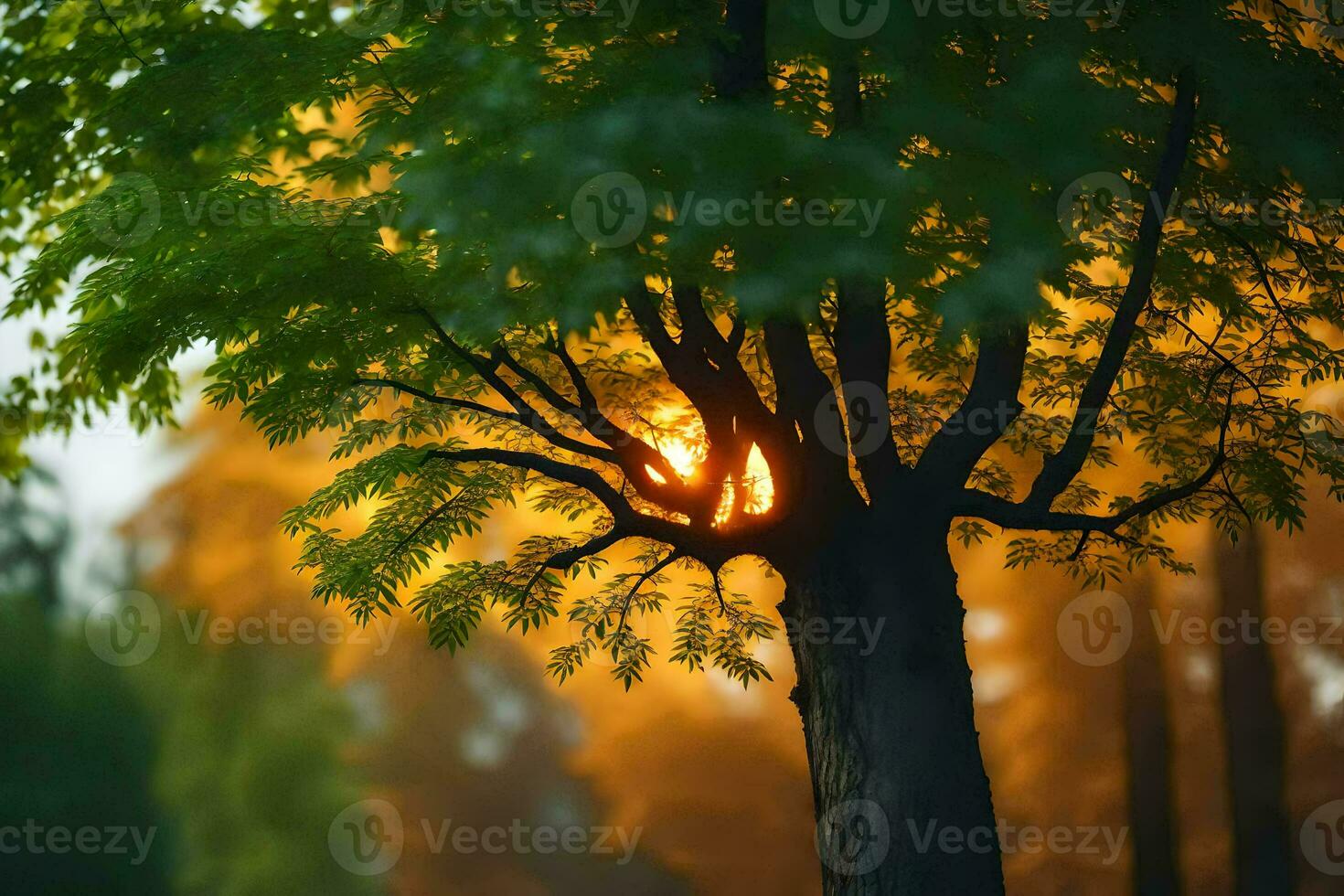 the sun shines through a tree in the forest. AI-Generated photo