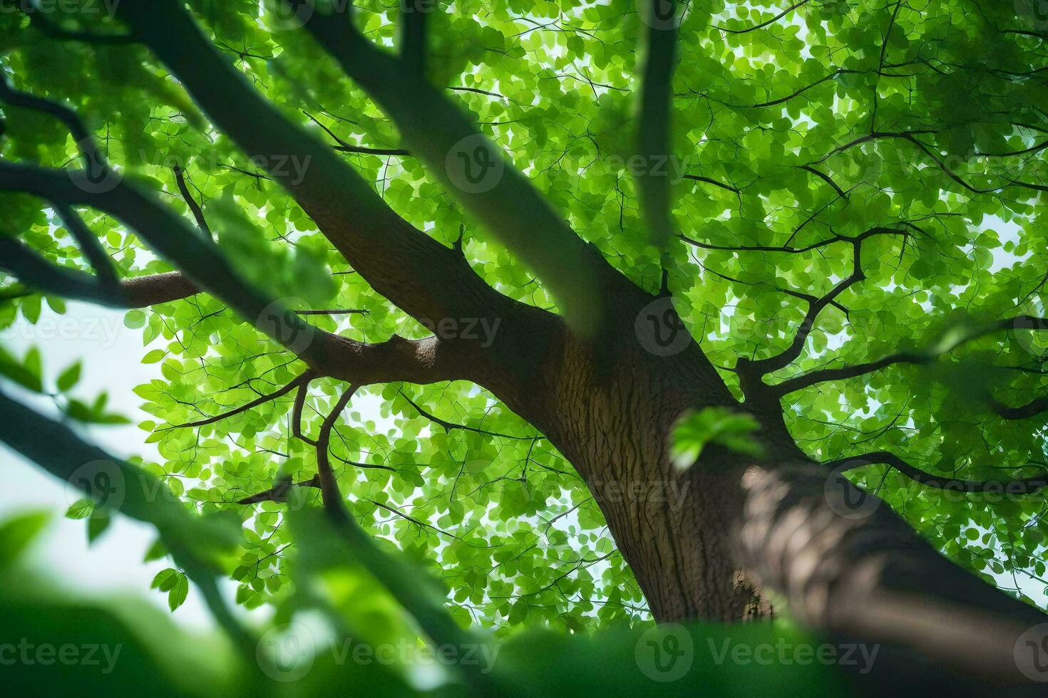 a tree with green leaves and sunlight. AI-Generated photo