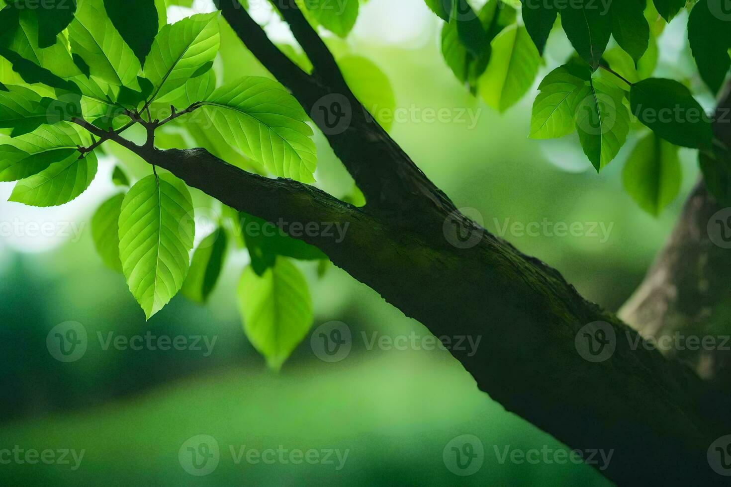 a tree branch with green leaves. AI-Generated photo