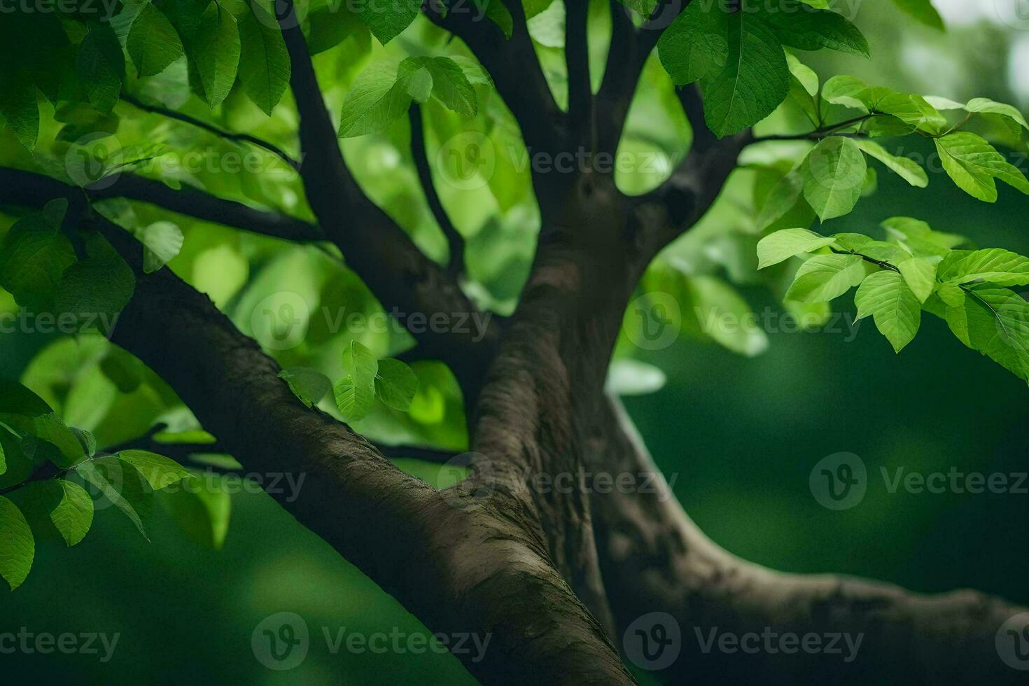 a tree branch with green leaves. AI-Generated photo