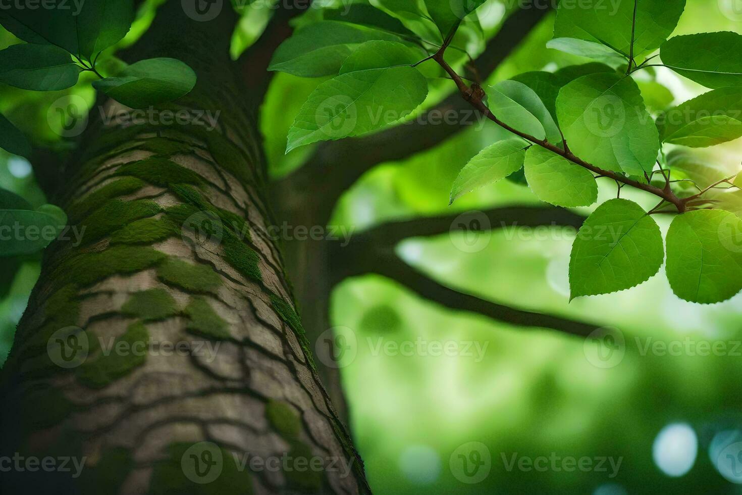 a tree with green leaves and sunlight. AI-Generated photo