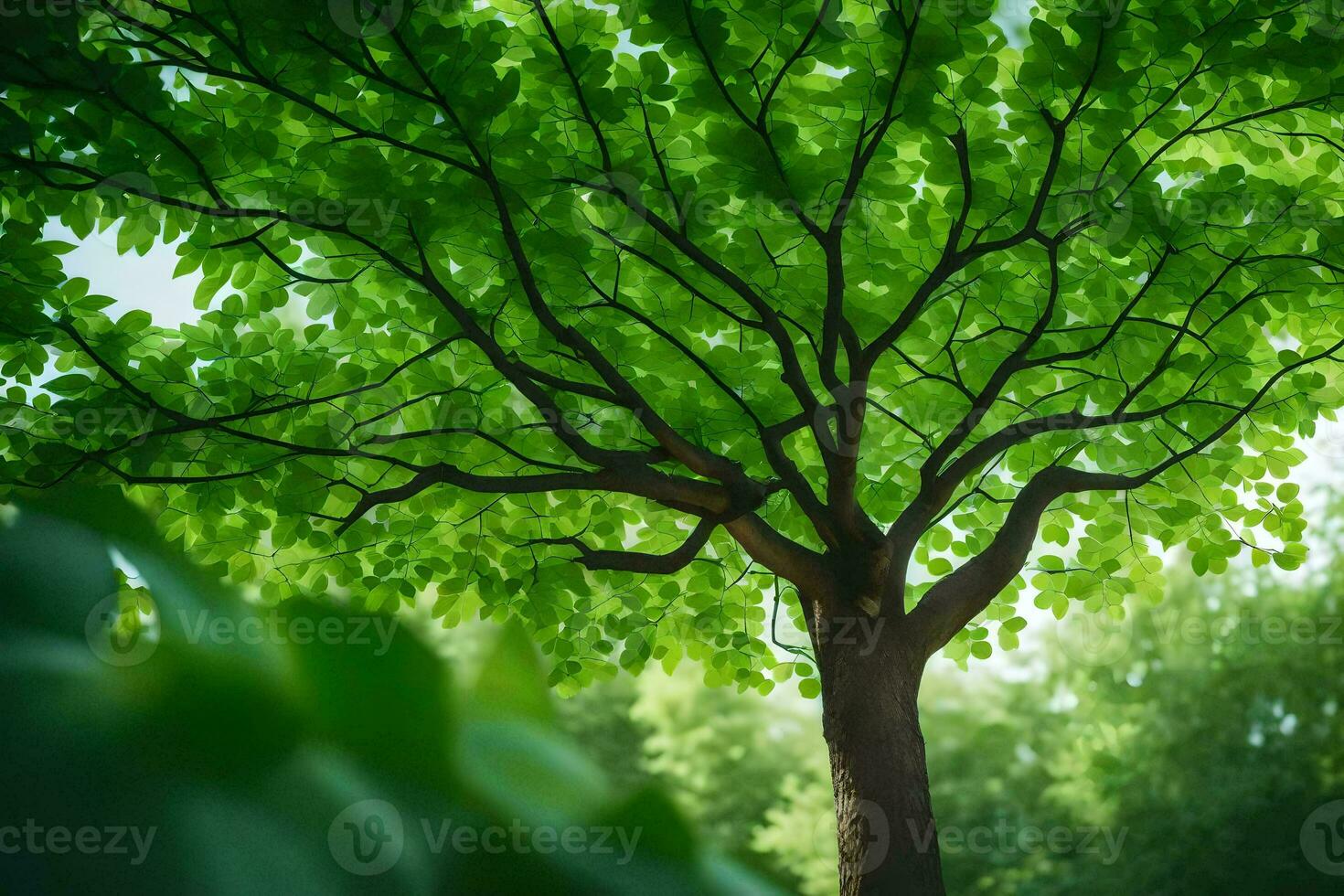un árbol es mostrado en el luz de sol con verde hojas. generado por ai foto